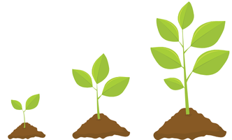 Seedlings.png